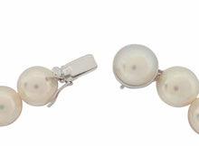 画像をギャラリービューアに読み込む, 田崎 マベパール ネックレス K18WG