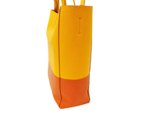 画像をギャラリービューアに読み込む, CELINE セリーヌ Vertical CABAS バーティカル カバ Small Bicolor 2WAY Tote Bag スモール バイカラー 2WAY トートバッグ 176163