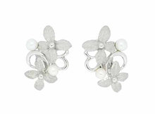 画像をギャラリービューアに読み込む, - イヤリング Pt900/K18 パール